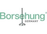 Borsehung B19017 Valvola Di Aspirazione Oe 06B109601D Compatibile Con A3 8L, A3 8P, A4 8D, A4 8E, Altea, Altea Xl, Exeo, Leon, Toledo, Octavia, Bora, Caddy, Golf Iv, Golf Plus, Golf V, Golf Vi, Jetta, New Beetle, Passat 3B, Passat 3C, Touran
