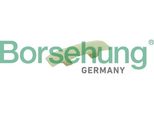Borsehung B1G012 Guida Di Scorrimento, Catena Di Distribuzione Oe 06H109469AG Compatibile Con A3 8P, A3 8V, A4 8K, A5 8T, A5 8F, A6 4G, A8 4H, Q3, Q5, Tt, Alhambra, Altea, Altea Xl, Exeo, Leon, Toledo, Octavia, Superb, Yeti, Amarok, Beetle, Cc, Eos, Golf V, Golf Vi, Golf Vii, Jetta, Multivan V, Passat Alltrack, Passat 3C, Passat 3B, Passat 3BG, Passat Cc, Scirocco, Sharan, Tiguan, Transporter V, T