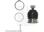 Blue Print ADH28668 Giunto Di Supporto/Giunto Di Guida Oe 51460SM1A02S1 Compatibile Con Accord