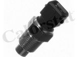 Calorstat By Vernet WS2575 Sensore Temperatura Liquido Refrigerante Oe 60812290 Compatibile Con Delta, Dedra, Tipo, Tempra, Strada, Punto, Palio, Marea, Fiorino, Bravo, Brava, Alf. 155, Alf. 146, Alf. 145