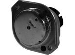 Corteco 80004416 Cuscinetto, Motore Oe 22116761092 Compatibile Con Serie 5 E60, Serie 5 E61, Serie 6 E63, Serie 6 E64