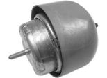 Corteco 80000219 Cuscinetto, Motore Oe 8D0199382E Compatibile Con Passat 3B, Superb, A6 4B, A4 8D