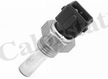Calorstat By Vernet WS2554 Sensore Temperatura Liquido Refrigerante Oe 12621710511 Compatibile Con Range Rover, Serie 5 E34, Serie 3 E30