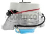 Corteco 49374287 Cuscinetto, Motore Oe 2222405000 Compatibile Con Classe S