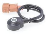 Bosch 0 261 231 077 Sensore Di Detonazione Oe 037905377A Compatibile Con Alhambra, Cordoba, Ibiza, Toledo, California T4, Corrado, Golf Iii, Golf Iv, Passat 35I, Sharan, Transporter Iv, Vento