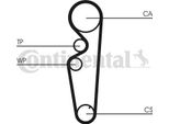 Continental Ctam CT878 Cinghia Dentata Oe 7762910 Compatibile Con Lanc Y, Marea, Bravo, Brava