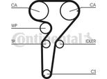 Continental Ctam CT880K2 Set Cinghia Dentata Oe 71754843 Compatibile Con Lybra, Kappa, Marea, Coupe, Bravo
