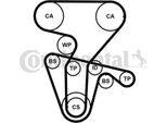 Continental Ctam CT877WP4PRO Pompa Acqua + Set Cinghia Dentata Oe Compatibile Con Lybra, Delta, Dedra, Coupe, Spider, Alf. Gtv, Alf. Gt, Alf. 156, Alf. 147