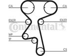 Continental Ctam CT873WP1 Pompa Acqua + Kit Cinghia Dentata Oe Compatibile Con Vectra, Tigra, Astra F