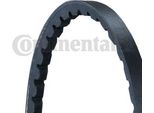 Continental Ctam AVX10X1275 Cinghia Trapezoidale Oe 2696277 Compatibile Con 940