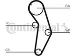 Continental Ctam CT821K1 Kit Cinghia Dentata Oe Compatibile Con Space Wagon, Space Runner, Galant