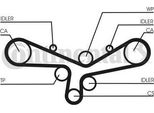 Continental Ctam CT920WP2 Pompa Acqua + Kit Cinghia Dentata Oe Compatibile Con A6 4B, A8 4D, A8 4E