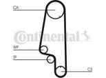 Continental Ctam CT846WP4 Pompa Acqua + Set Cinghia Dentata Oe Compatibile Con Polo 9N, Fox, Ibiza, Cordoba