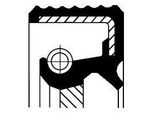 Corteco 20020528B Anello Di Tenuta, Albero A Camme Oe 080725 Compatibile Con Boxer, Jumper