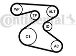 Continental Ctam 6PK1873K1 Set Di Cinghie Trapezoidali Dentate Oe Compatibile Con Polo 6R, Polo 9N, Fox, Roomster, Rapid, Fabia, Toledo, Ibiza, Cordoba