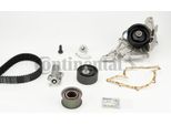 Continental Ctam CT920WP3 Pompa Acqua + Kit Cinghia Dentata Oe Compatibile Con A4 8D, A4 8E, A4 8H, A6 4A, A6 4B, Superb, Passat 3B