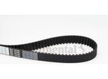 Continental Ctam CT978 Cinghia Dentata Oe 988M6268B2A Compatibile Con Cougar, Focus, Maverick, Mondeo, Tourneo, Transit, Tribute