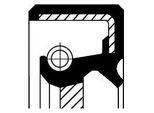 Corteco 20026123B Anello Di Tenuta, Albero A Camme Oe 080728 Compatibile Con Berlingo, C-Crosser, C4, C4, C5, C6, C8, DS4, DS5, Evasion, Jumper, Jumpy, Xantia, Xsara, Ducato, Scudo, Ulysse, C-Max, Focus, Galaxy, Kuga, Mondeo, S-Max, Phedra, Zeta, Outlander, 206, 3008, 306, 307, 308, 4007, 406, 407, 5008, 508, 607, 806, 807, Boxer, Expert, Partner, C30, C70, S40, S80, V50, V70, Vectra, Cherokee, As