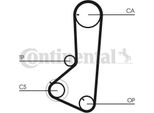 Continental Ctam CT836K1 Kit Cinghia Dentata Oe Compatibile Con L400, L200