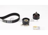 Continental Ctam CT978K1 Kit Cinghia Dentata Oe 1380026 Compatibile Con Cougar, Focus, Mondeo, Tourneo, Transit