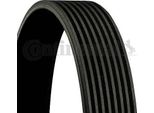 Continental Ctam 8PK1955 Cinghia Trapezoidale Nervata Oe PQS500450 Compatibile Con Range Rover, Vario