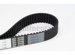 Continental Ctam CT884 Cinghia Dentata Oe 95522522 Compatibile Con Calibra A, Omega, Sintra, Vectra
