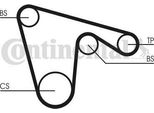 Continental Ctam CT970 Cinghia Dentata Oe 60620887 Compatibile Con Alf. 145, Alf. 146, Alf. 147, Alf. 155, Alf. 156, Alf. 166, Alf. Gt, Alf. Gtv, Spider, Coupé, Dedra, Delta, Lybra