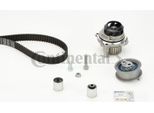 Continental Ctam CT1088WP4 Pompa Acqua + Kit Cinghia Dentata Oe Compatibile Con A3 8P, A4 8E, Altea, Altea Xl, Leon, Toledo, Octavia, Eos, Golf Plus, Golf V, Jetta, Passat 3C, Touran