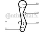 Continental Ctam CT1030 Cinghia Dentata Oe 1356811100 Compatibile Con Paseo