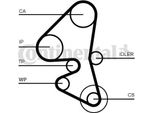 Continental Ctam CT1162K5 Kit Cinghia Dentata Oe 1635067180 Compatibile Con 208, 3008, 301, 308, 4008, 5008, 508, Expert, Partner, 207, 2008, 5, 3, 2, Transit, Tourneo, S-Max, Mondeo, C-Max, Galaxy, Focus, Fiesta, Ecosport, B-Max, Scudo, Spacetourer, Jumpy, C4, DS5, DS4, DS3, C5, C3, C-Elysee, Berlingo, Rifter, C30, S40, S60, S80, V40, V50, V60, V70