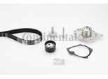 Continental Ctam CT1035WP1 Pompa Acqua + Kit Cinghia Dentata Oe Compatibile Con Almera, Clio, Kangoo, Megane, Scenic, Thalia