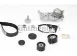 Continental Ctam CT1179WP3 Pompa Acqua + Kit Cinghia Dentata Oe 119A00397R Compatibile Con Duster, Logan, Sandero, Kubistar, Clio, Kangoo, Laguna, Megane, Modus, Scenic, Thalia