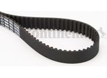 Continental Ctam CT1088 Cinghia Dentata Oe 06D109119B Compatibile Con A1 8X, A3 8P, A4 8E, A4 8H, A6 4F, Tt, Altea, Altea Xl, Exeo, Leon, Toledo, Octavia, Eos, Golf Plus, Golf V, Golf Vi, Jetta, Passat 3C, Polo 6R, Scirocco, Touran