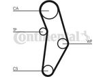 Continental Ctam CT1049WP1 Wasserpumpe + Zahnriemensatz Oe 71771575 Kompatibel Mit 124 Spider, 500, 500C, Grande Punto, Punto, Giulietta, Mito, 500L, 500X, Brava, Bravo, Doblo, Idea, Linea, Marea, Palio, Panda, Stilo, Tipo, Renegade, Combo, Ypsilon, Maz Y, Lanc Y, Musa, Delta