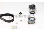 Continental Ctam CT1028WP2 Pompa Acqua + Kit Cinghia Dentata Oe Compatibile Con A3 8L, A6 4B, Galaxy, Bora, Golf Iv