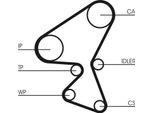 Continental Ctam CT1230K1 Kit Cinghia Dentata Oe 2191055 Compatibile Con Berlingo, C-Elysee, C3, C4, C5, Jumpy, Spacetourer, Ecosport, Focus, Kuga, Puma, Tourneo, Transit, Combo, Corsa F, Crossland X, Grandland, Vivaro, Zafira, 2008, 208, 3008, 301, 308, 5008, 508, Expert, Partner, Rifter, Traveller, Proace
