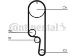 Continental Ctam CT1008WP2 Pompa Acqua + Kit Cinghia Dentata Oe Compatibile Con Matiz, Kalos, Spark, Aveo