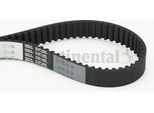 Continental Ctam CT1056 Cinghia Dentata Oe 06D109119 Compatibile Con A3 8P, A4 8E, Golf V, Touran