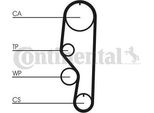 Continental Ctam CT557 Cinghia Dentata Oe SE021012012A Compatibile Con Ibiza