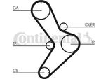 Continental Ctam CT731K1 Set Cinghia Dentata Oe 7701471769 Compatibile Con Daily, Master