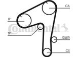 Continental Ctam CT1084 Cinghia Dentata Oe A302881T00 Compatibile Con Patrol