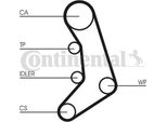 Continental Ctam CT758 Cinghia Dentata Oe 9135933 Compatibile Con 940