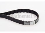 Continental Ctam CT1001 Cinghia Dentata Oe 14400P0A004 Compatibile Con Accord, Shuttle