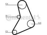 Continental Ctam CT687 Cinghia Dentata Oe 7533266 Compatibile Con Transit