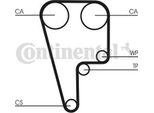 Continental Ctam CT1006K1 Kit Cinghia Dentata Oe Compatibile Con CR-V