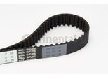 Continental Ctam CT1078 Cinghia Dentata Oe 97227192 Compatibile Con Civic, Astra G, Astra H