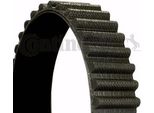 Continental Ctam CT2000 Cinghia Dentata Oe 7806974594 Compatibile Con Evoque