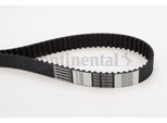 Continental Ctam CT1099 Cinghia Dentata Oe 2431227250 Compatibile Con Accent, Elantra, Getz, Grandeur, Highway, I30, Matrix, Santa Fe, Sonata, Trajet, Tucson, Carens, Ceed, Cerato, Magentis, Proceed, Sportage