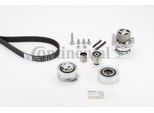 Continental Ctam CT1139WP6 Pompa Acqua + Kit Cinghia Dentata Oe Compatibile Con A1 8X, A3 8P, A4 8K, A5 8T, A5 8F, A6 4G, Q3, Q5, Tt, Alhambra, Altea, Altea Xl, Exeo, Ibiza, Leon, Toledo, Fabia, Octavia, Rapid, Roomster, Superb, Yeti, Amarok, Beetle, Caddy, Cc, Crafter, Eos, Golf Plus, Golf Vi, Jetta, Multivan V, Multivan Vi, Passat Alltrack, Passat 3C, Passat 3B, Passat Cc, Polo 6R, Scirocco, Sha