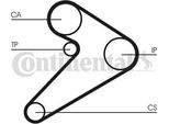 Continental Ctam CT517 Cinghia Dentata Oe 2431542101 Compatibile Con H100, Porter, L200, Pajero